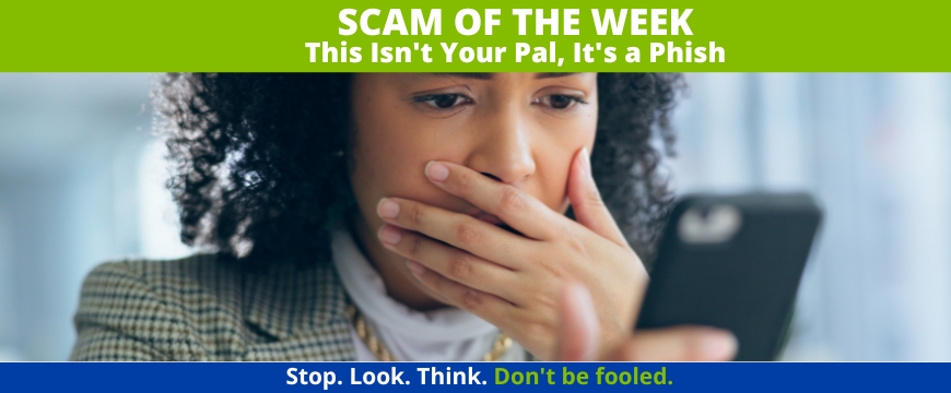 Recent Scams Article: This Isn't Your Pal, It's a Phish