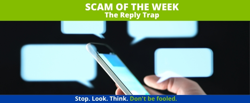 Recent Scams Article: The Reply Trap