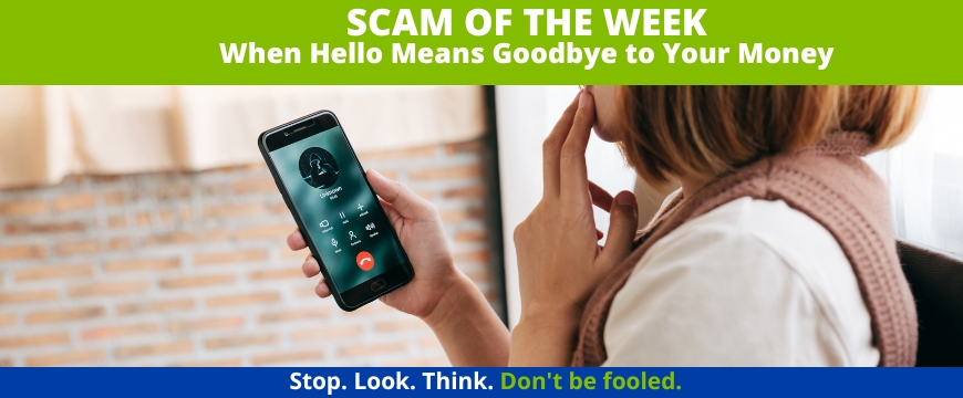Recent Scams Article: When Hello Means Goodbye to Your Money