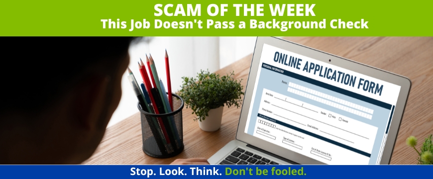 Recent Scams Article: This Job Doesn't Pass a Background Check
