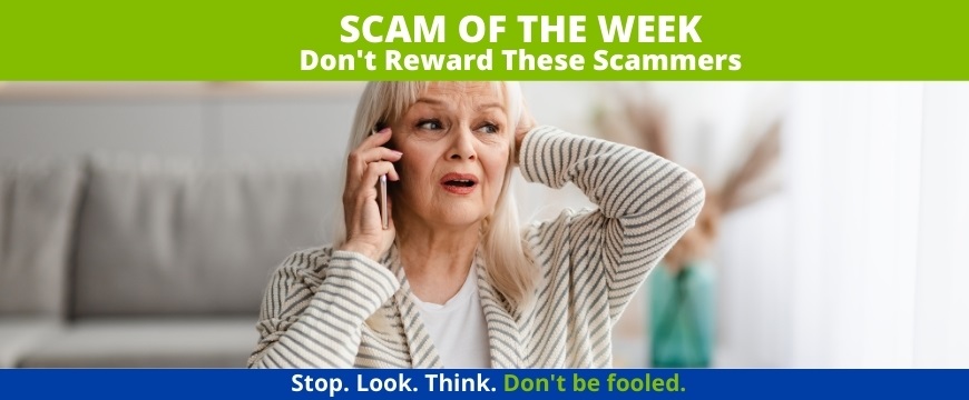 Recent Scams Article: Don't Reward These Scammers
