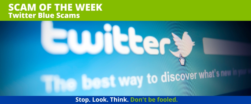 Recent Scams Article: Twitter Blue Scams