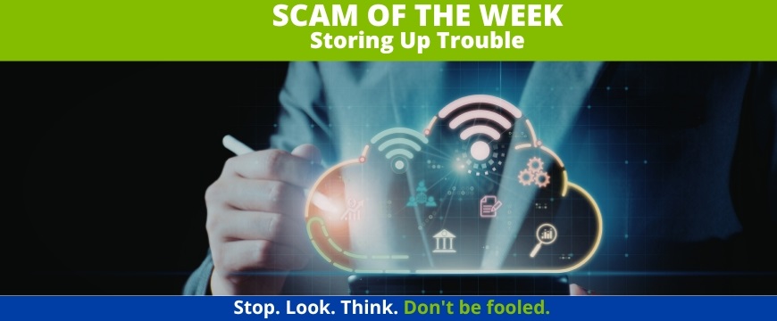 Recent Scams Article: Storing Up Trouble