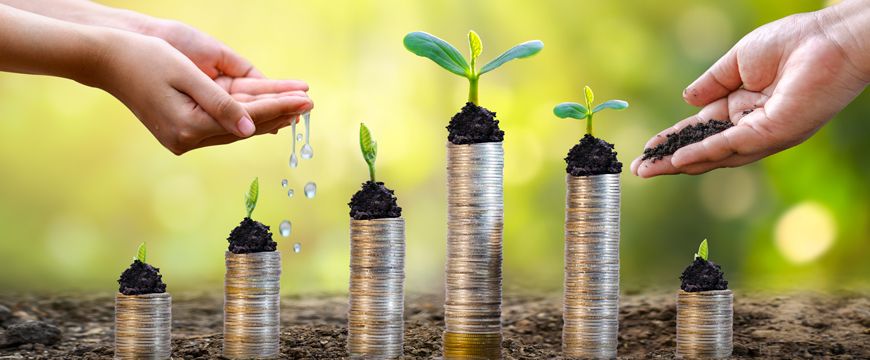 Stacks of coins with growing green plants on top, symbolizing financial growth and long-term wealth 