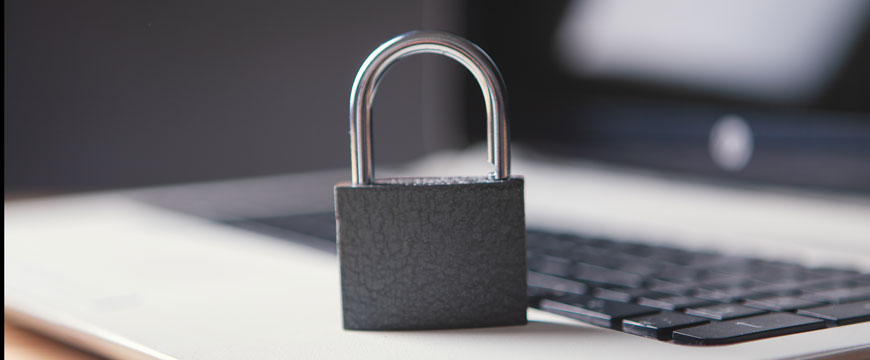 Cyber Safety 