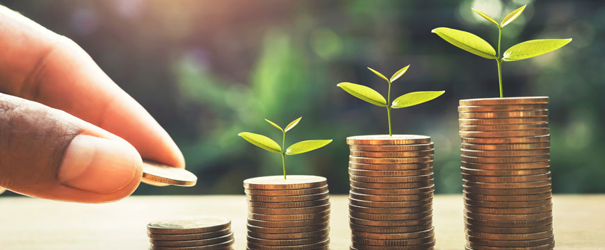 Stacking Coins with Plants on Top
