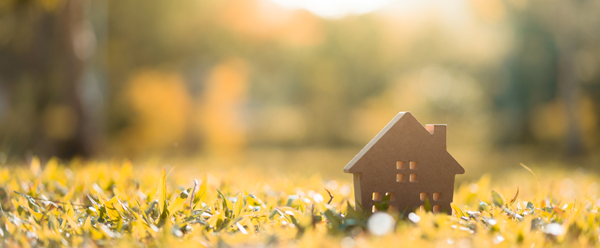 Cardboard box sitting in the grass