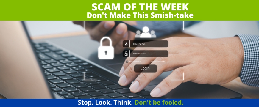 Recent Scams Article: Don't Make This Smish-take